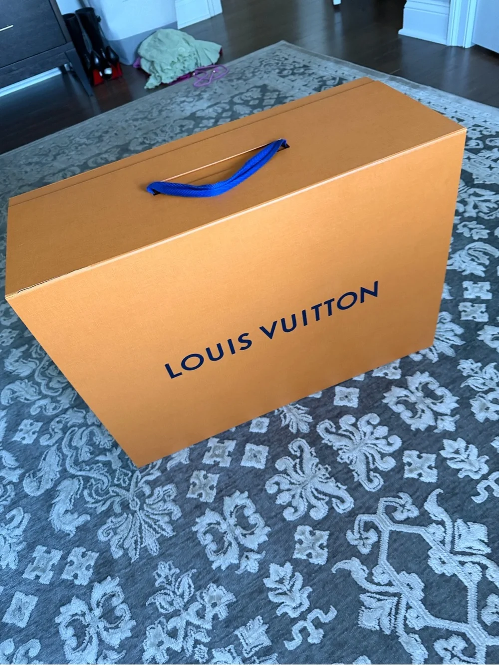 Louis Vuitton rare louis